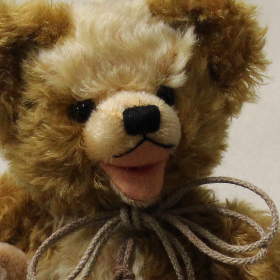 25. Sonneberger Museumsbr 2018 36 cm Teddybr von Hermann-Coburg