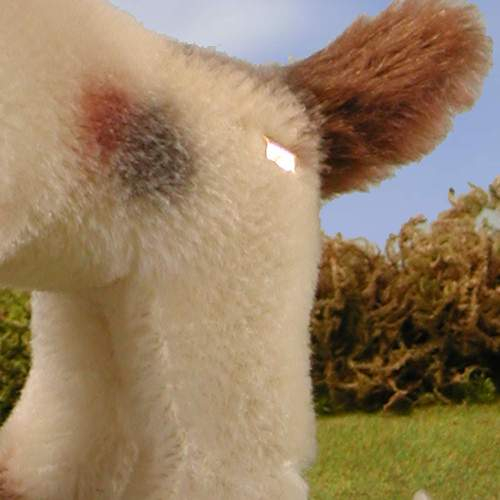 HERMANN Classic Dog 24 cm Teddybr von Hermann-Coburg