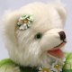 Kleiner Edelwei Br 34 cm Teddybr von Hermann-Coburg