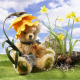 Osterglocke - Daffodil 35 cm Teddybr von Hermann-Coburg
