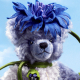 Cornflower - Kornblume 35 cm Teddybr von Hermann-Coburg