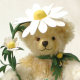 German Camomile - Echte Kamille 37 cm Teddybr von Hermann-Coburg