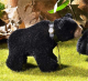 Classic Miniature Black Bear 12 cm Teddybr von Hermann-Coburg