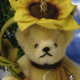 Sonnenblume 11 cm Teddyb�r von Hermann-Coburg