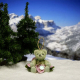 Kleine Christrose 11 cm Teddyb�r von Hermann-Coburg