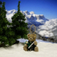 B�renstopfer 11 cm Teddyb�r von Hermann-Coburg