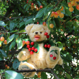 My Sweet Cherry 32 cm Teddy Bear by Hermann-Coburg